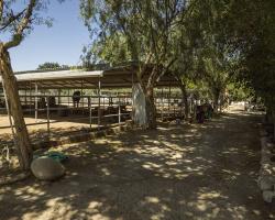 stables-corrals_0044