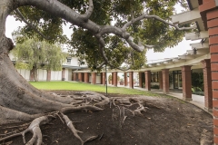 exterior_0052