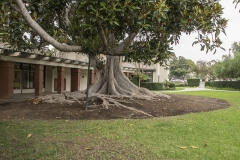 exterior_0056