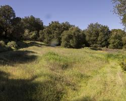 land-barn_0014
