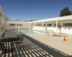 pool-auditorium_0006