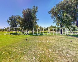 Golf_021
