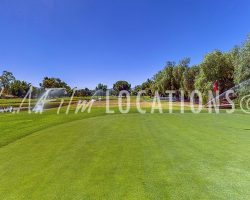 Golf_025