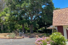 EXTERIOR_007