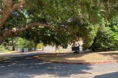 EXTERIOR_011