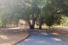 EXTERIOR_012