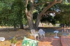 EXTERIOR_028