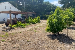 EXTERIOR_035