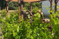 EXTERIOR_036