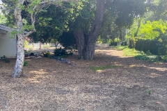 EXTERIOR_040