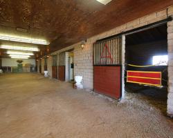 stables_0003