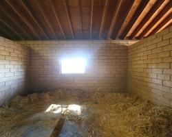 stables_0005