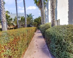 Exterior_031