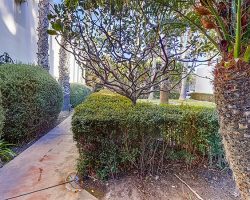 Exterior_035