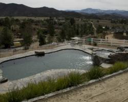 exterior_pool_area_0052