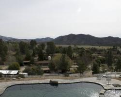 exterior_pool_area_0067