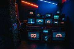 ACE_013