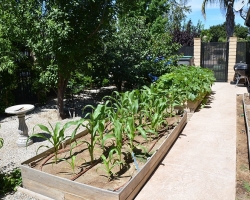 exterior_0047