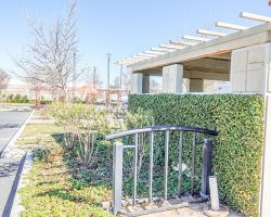 Exterior_031