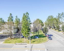 Exterior_048
