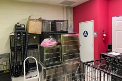 Pet-Store-Image-006