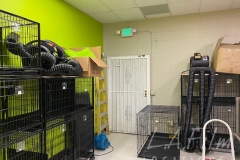 Pet-Store-Image-010