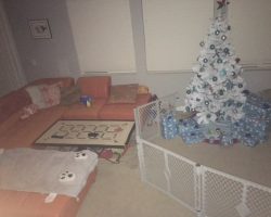 IMG_005