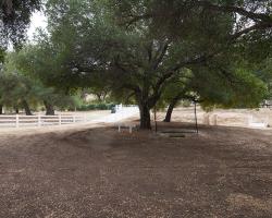 exterior_0034