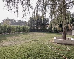 Estate_Exteriors_054