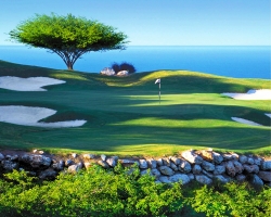 WW Golf Course_007