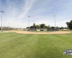 baseballfields_010