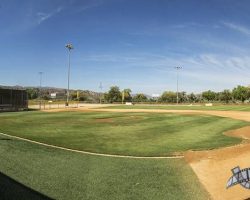 baseballfields_016