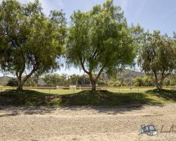 baseballfields_024