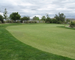 Golfcourse_05