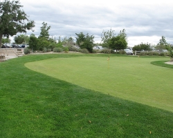 Golfcourse_06