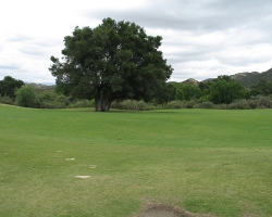 Golfcourse_16