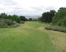 Golfcourse_17