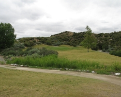Golfcourse_25