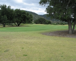 Golfcourse_30