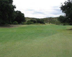 Golfcourse_37