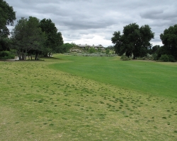 Golfcourse_38