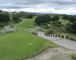 Golfcourse_42