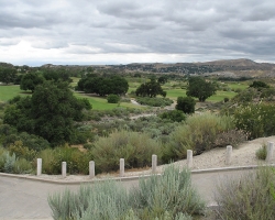 Golfcourse_43