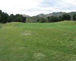 Golfcourse_44