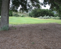 Golfcourse_49