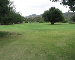 Golfcourse_50