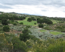 Golfcourse_51