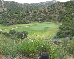 Golfcourse_52