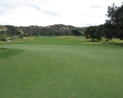 Golfcourse_59
