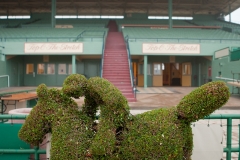 Exterior_021